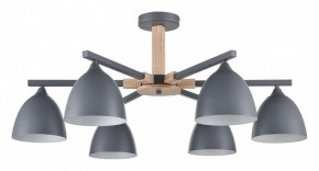 Люстра на штанге Lumion Colange 8096/6C в Когалыме - kogalym.mebel24.online | фото