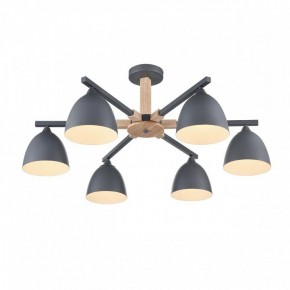 Люстра на штанге Lumion Colange 8096/6C в Когалыме - kogalym.mebel24.online | фото 3