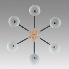 Люстра на штанге Lumion Colange 8096/6C в Когалыме - kogalym.mebel24.online | фото 4