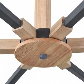 Люстра на штанге Lumion Colange 8096/6C в Когалыме - kogalym.mebel24.online | фото 7