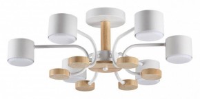 Люстра на штанге Lumion Rondo 8231/6C в Когалыме - kogalym.mebel24.online | фото