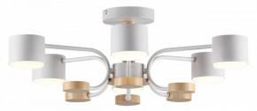 Люстра на штанге Lumion Rondo 8231/6C в Когалыме - kogalym.mebel24.online | фото 2