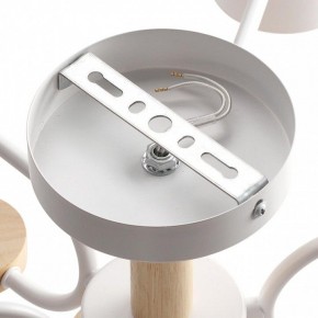 Люстра на штанге Lumion Rondo 8231/6C в Когалыме - kogalym.mebel24.online | фото 6