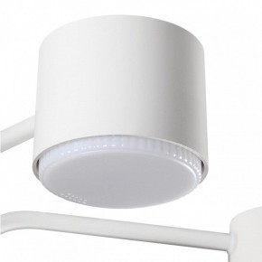 Люстра на штанге Lumion Rondo 8231/6C в Когалыме - kogalym.mebel24.online | фото 7
