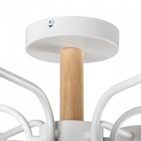 Люстра на штанге Lumion Rondo 8231/6C в Когалыме - kogalym.mebel24.online | фото 8