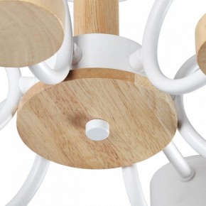 Люстра на штанге Lumion Rondo 8231/6C в Когалыме - kogalym.mebel24.online | фото 9