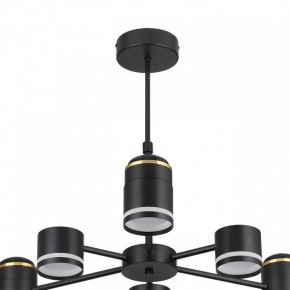 Люстра на штанге Lumion Virsava 8234/6C в Когалыме - kogalym.mebel24.online | фото 5