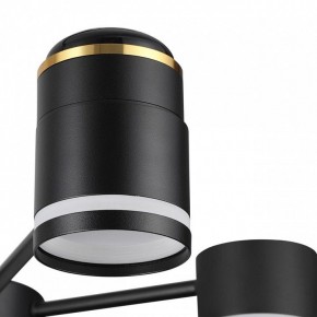 Люстра на штанге Lumion Virsava 8234/6C в Когалыме - kogalym.mebel24.online | фото 8