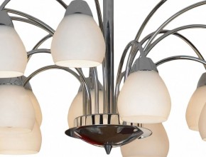 Люстра на штанге Lussole Apiro GRLSF-2403-15 в Когалыме - kogalym.mebel24.online | фото 12
