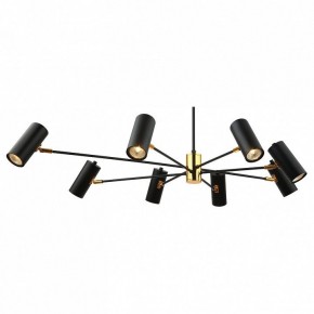 Люстра на штанге Lussole Duncan LSP-8252 в Когалыме - kogalym.mebel24.online | фото 2