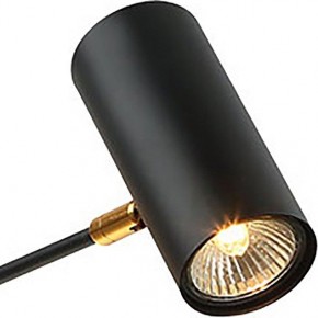 Люстра на штанге Lussole Duncan LSP-8252 в Когалыме - kogalym.mebel24.online | фото 3
