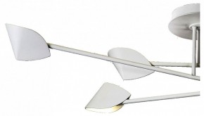 Люстра на штанге Mantra Capuccina 7572 в Когалыме - kogalym.mebel24.online | фото 2