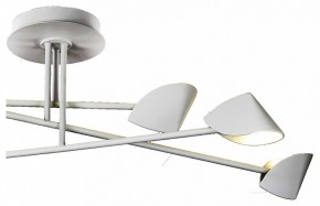 Люстра на штанге Mantra Capuccina 7572 в Когалыме - kogalym.mebel24.online | фото 3