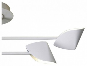 Люстра на штанге Mantra Capuccina 7574 в Когалыме - kogalym.mebel24.online | фото 3