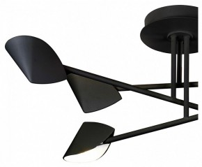 Люстра на штанге Mantra Capuccina 7581 в Когалыме - kogalym.mebel24.online | фото 2