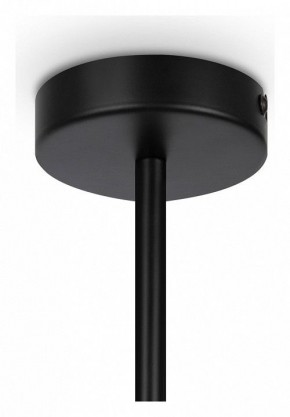 Люстра на штанге Maytoni Memory MOD177PL-04B в Когалыме - kogalym.mebel24.online | фото 4
