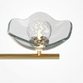 Люстра на штанге Maytoni Miracle MOD207PL-05BS в Когалыме - kogalym.mebel24.online | фото 5