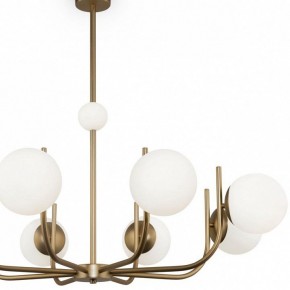 Люстра на штанге Maytoni Rendez-vous MOD109PL-08BS в Когалыме - kogalym.mebel24.online | фото 4