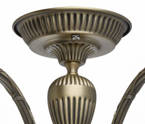 Люстра на штанге MW-Light Аманда 6 481011805 в Когалыме - kogalym.mebel24.online | фото 10