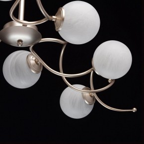 Люстра на штанге MW-Light Оливия 5 306012709 в Когалыме - kogalym.mebel24.online | фото 10