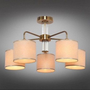 Люстра на штанге Omnilux Barumini OML-56907-05 в Когалыме - kogalym.mebel24.online | фото 2