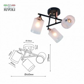 Люстра на штанге Rivoli Fiona Б0059259 в Когалыме - kogalym.mebel24.online | фото