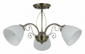Люстра на штанге Rivoli Sue Б0060985 в Когалыме - kogalym.mebel24.online | фото