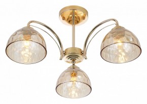 Люстра на штанге Rivoli Terri Б0060988 в Когалыме - kogalym.mebel24.online | фото