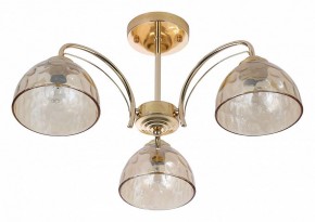 Люстра на штанге Rivoli Terri Б0060988 в Когалыме - kogalym.mebel24.online | фото 2