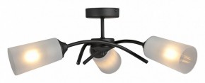Люстра на штанге Vitaluce V2850 V2850-1/3PL в Когалыме - kogalym.mebel24.online | фото 3