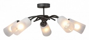 Люстра на штанге Vitaluce V2850 V2850-1/5PL в Когалыме - kogalym.mebel24.online | фото