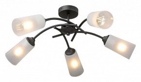 Люстра на штанге Vitaluce V2850 V2850-1/5PL в Когалыме - kogalym.mebel24.online | фото 2