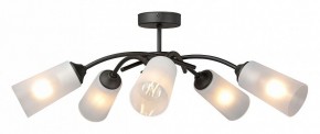 Люстра на штанге Vitaluce V2850 V2850-1/5PL в Когалыме - kogalym.mebel24.online | фото 3