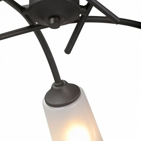 Люстра на штанге Vitaluce V2850 V2850-1/5PL в Когалыме - kogalym.mebel24.online | фото 6