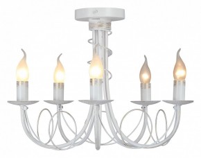 Люстра на штанге Vitaluce V3035 V3035-0/5PL в Когалыме - kogalym.mebel24.online | фото 2