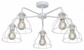 Люстра на штанге Vitaluce V3102 V3102-0/5PL в Когалыме - kogalym.mebel24.online | фото