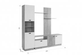 МОДИ Гостиная (модульная) белое дерево в Когалыме - kogalym.mebel24.online | фото 2