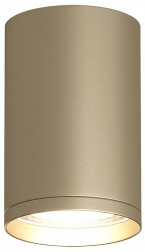 Накладной светильник Denkirs TUBE DK2050-SG в Когалыме - kogalym.mebel24.online | фото 2