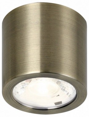 Накладной светильник Favourite Deorsum 2806-1C в Когалыме - kogalym.mebel24.online | фото