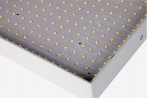 Накладной светильник Favourite Flashled 2066-30C в Когалыме - kogalym.mebel24.online | фото 2