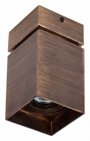 Накладной светильник Favourite Retro 2794-1U в Когалыме - kogalym.mebel24.online | фото 2