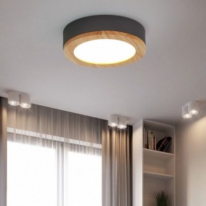 Накладной светильник Imperiumloft Wudda Серый WUDDA01 в Когалыме - kogalym.mebel24.online | фото 3