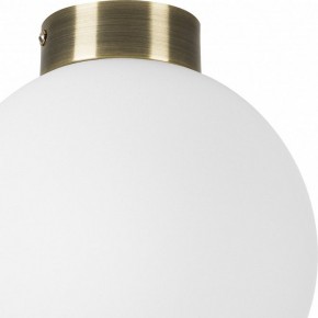 Накладной светильник Lightstar Globo 812021 в Когалыме - kogalym.mebel24.online | фото 3