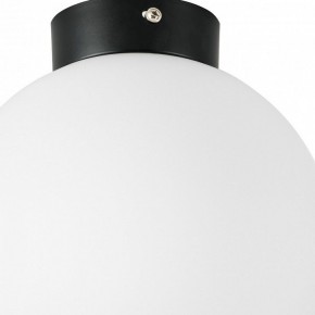 Накладной светильник Lightstar Globo 812027 в Когалыме - kogalym.mebel24.online | фото 2