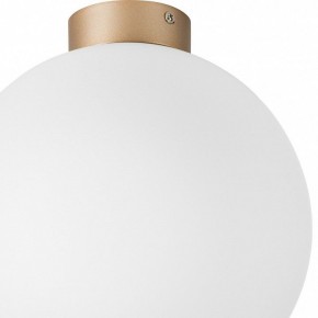 Накладной светильник Lightstar Globo 812033 в Когалыме - kogalym.mebel24.online | фото 2