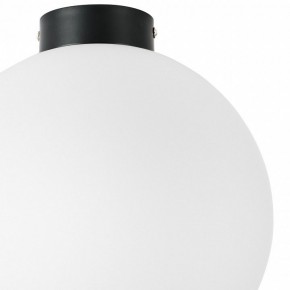 Накладной светильник Lightstar Globo 812037 в Когалыме - kogalym.mebel24.online | фото 3