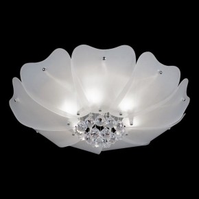 Накладной светильник Lightstar Lobo 804020 в Когалыме - kogalym.mebel24.online | фото 2