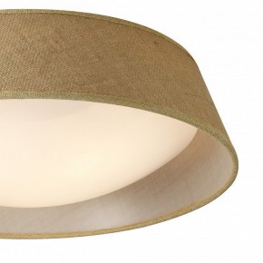 Накладной светильник Mantra Sabina 6413 в Когалыме - kogalym.mebel24.online | фото 3