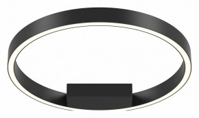 Накладной светильник Maytoni Rim MOD058CL-L25BK в Когалыме - kogalym.mebel24.online | фото