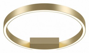 Накладной светильник Maytoni Rim MOD058CL-L25BSK в Когалыме - kogalym.mebel24.online | фото 2